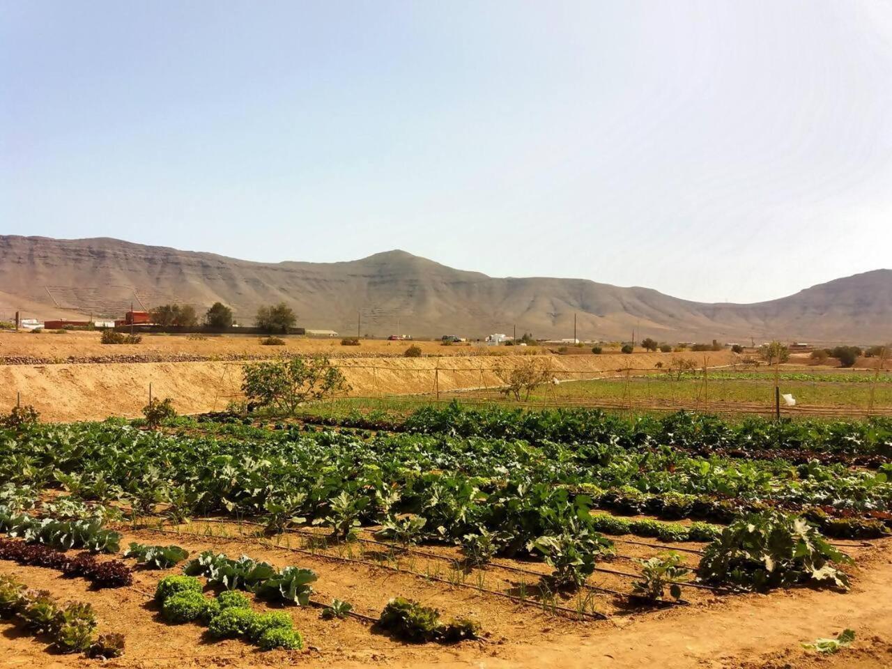Rural Rugama Villa Puerto del Rosario  Dış mekan fotoğraf