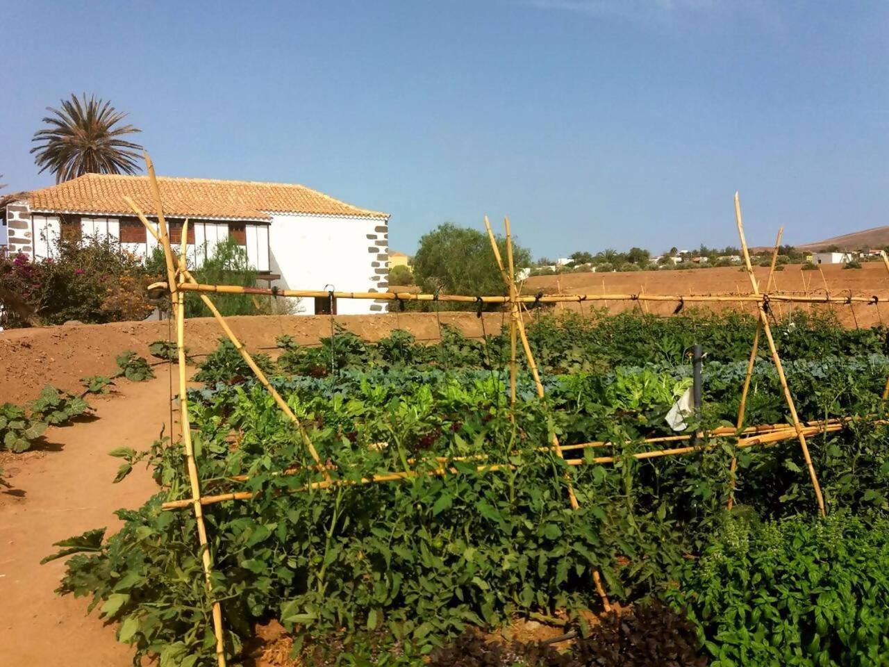 Rural Rugama Villa Puerto del Rosario  Dış mekan fotoğraf
