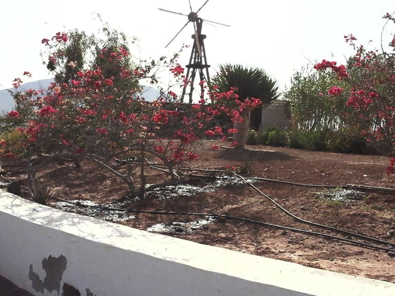 Rural Rugama Villa Puerto del Rosario  Dış mekan fotoğraf